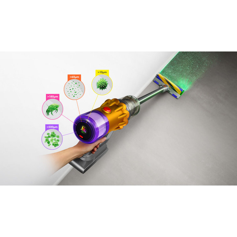 Dyson V12 Detect Slim & Reviews | Perigold